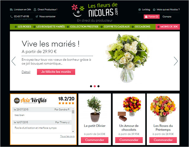 Anne-b -Webdesign-Les fleurs de Nicolas